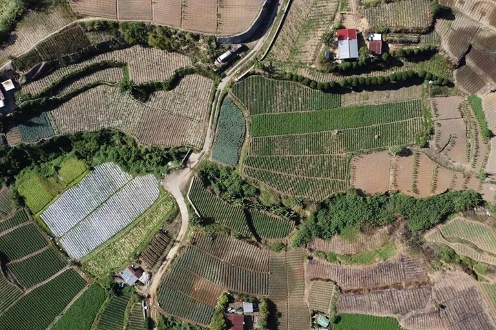 Na co zwrócić uwagę analizując ogłoszenie sprzedaży działki