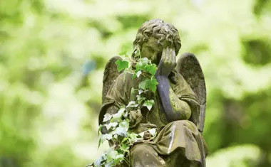 Ile kosztuje miejsce na cmentarzu w Bytomiu? Sprawdziliśmy aktualny cennik i opłaty