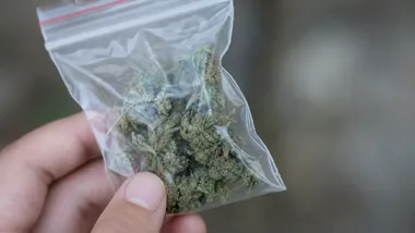 Kwiat za niespełna 17 złotych. W Bytomiu doszło do szamotaniny