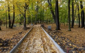 Budowa alejek w Parku Ludowym (2)