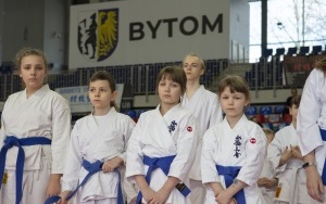 Już po raz trzeci w naszym mieście zrealizowany został projekt z Bytomskiego Budżetu Obywatelskiego - „Bytom Miastem Karate” (1)