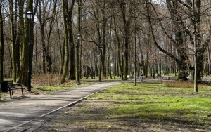 Trwają prace przy montażu oświetlenia, budowie alejek i strefy rekreacji w Parku Ludowym (1)