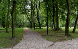 Park Ludowy w Bytomiu - Miechowicach w nowej odsłonie (4)