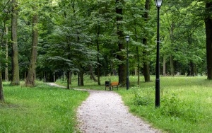 Park Ludowy w Bytomiu - Miechowicach w nowej odsłonie (5)