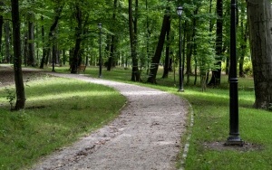 Park Ludowy w Bytomiu - Miechowicach w nowej odsłonie (6)