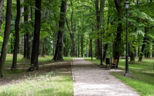 Park Ludowy w Bytomiu - Miechowicach w nowej odsłonie (7)