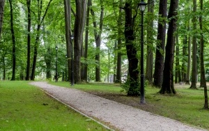 Park Ludowy w Bytomiu - Miechowicach w nowej odsłonie (9)