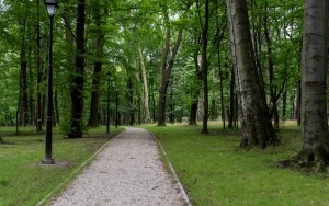 Park Ludowy w Bytomiu - Miechowicach w nowej odsłonie (10)