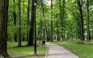 Park Ludowy w Bytomiu - Miechowicach w nowej odsłonie (12)