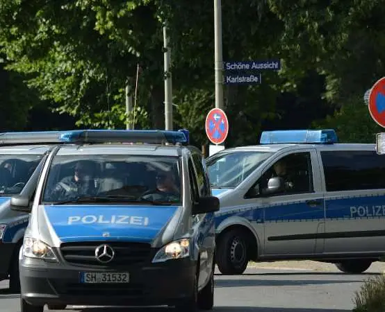 Policjanci uratowali potrąconego kota i przekazali go do schroniska