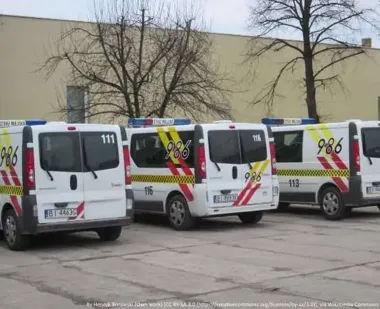 Dzikie warchlaki między blokami - locha może zaatakować bez ostrzeżenia