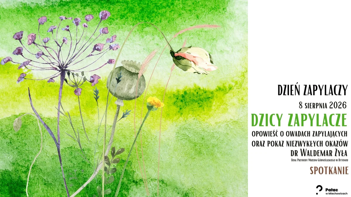 Grafika promocyjna wydarzenia Dzicy zapylacze – owady zapylające
