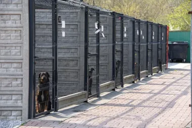 Ponad 1,8 mln zł na schronisko w Miechowicach. Pomagają też darczyńcy