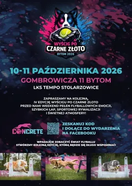 Szybkie łapy i twarda rywalizacja. Flyball wraca do Stolarzowic