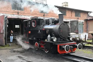 Wąskotorówka przyciąga tłumy. Industriada trwa w Bytomiu