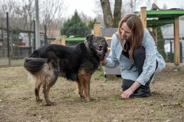 W bytomskim schronisku nowa szefowa stawia na dobro zwierząt i otwarte drzwi