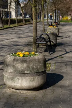 Bratki wróciły na ulice, a miasto szykuje kolejne fale wiosennych nasadzeń