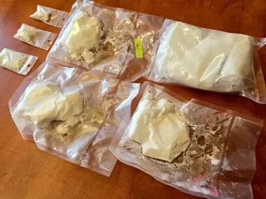 Pies do narkotyków i dwa adresy - w Bytomiu przejęto blisko kilogram