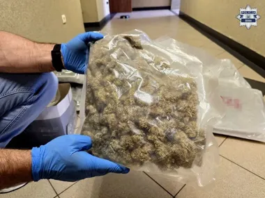 Policja weszła do mieszkania w Bytomiu - znalazła ponad 22 kilo marihuany